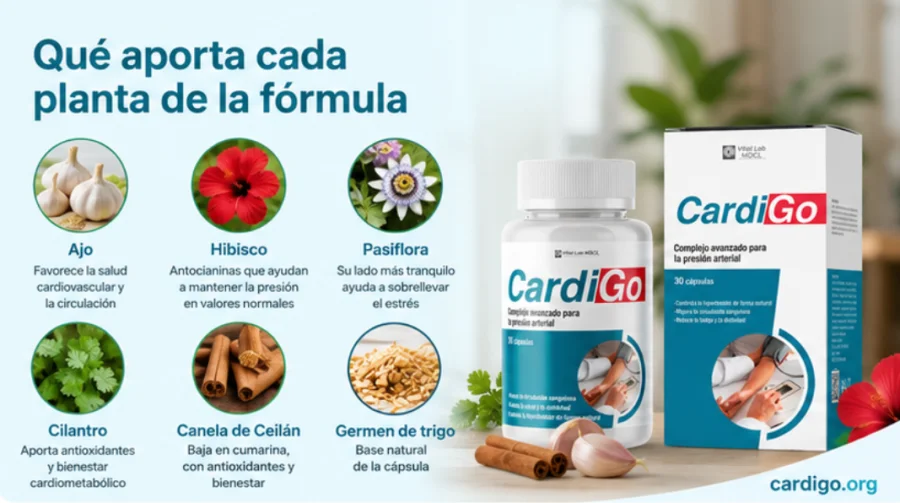 CardiGo — qué aporta cada planta de la fórmula
